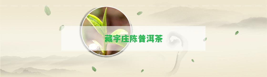 藏字莊陳普洱茶