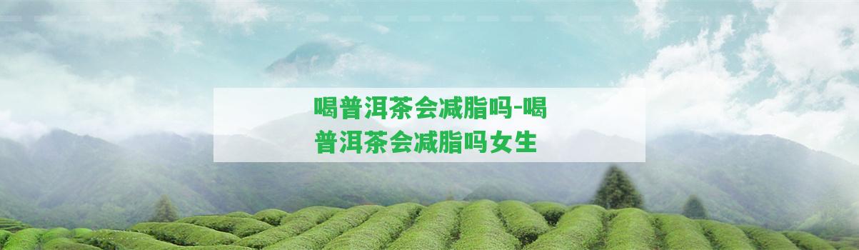 喝普洱茶會減脂嗎-喝普洱茶會減脂嗎女生