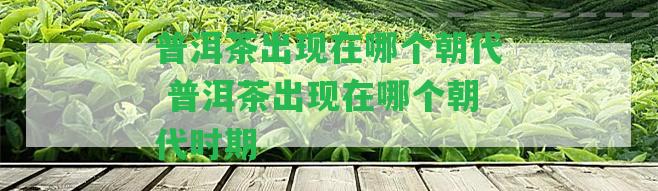 普洱茶出現(xiàn)在哪個朝代 普洱茶出現(xiàn)在哪個朝代時期