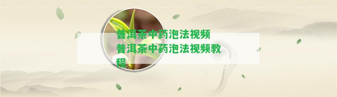 普洱茶中藥泡法視頻 普洱茶中藥泡法視頻教程