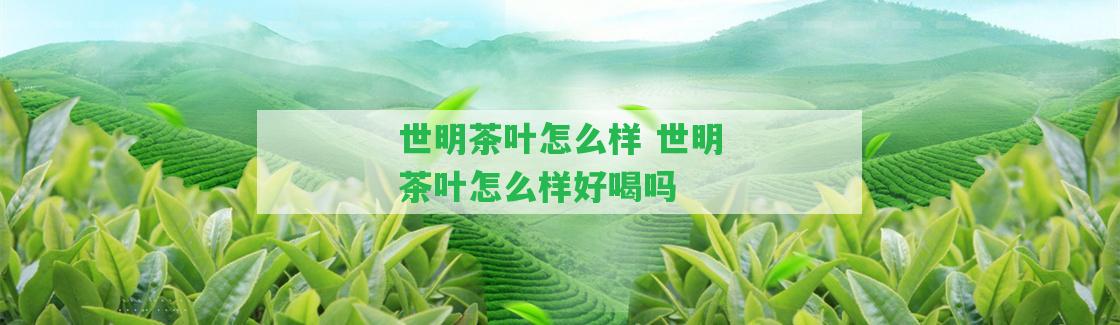 世明茶葉怎么樣 世明茶葉怎么樣好喝嗎