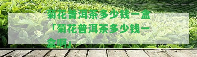 菊花普洱茶多少錢一盒「菊花普洱茶多少錢一盒啊」