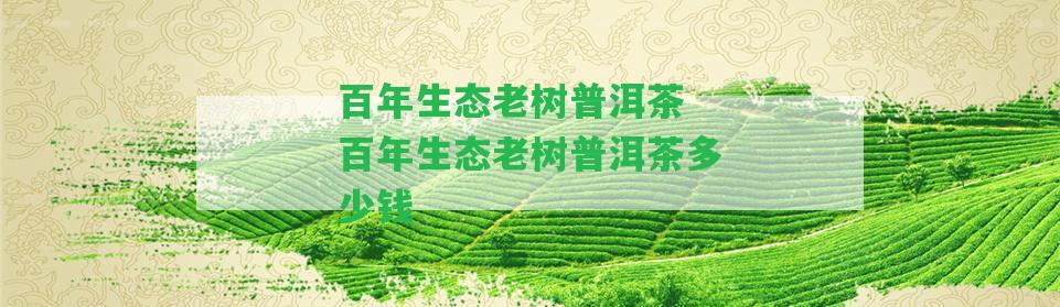 百年生態(tài)老樹普洱茶 百年生態(tài)老樹普洱茶多少錢