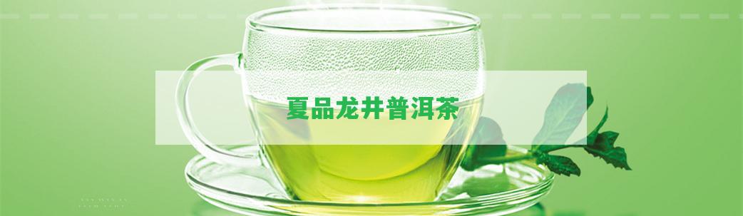 夏品龍井普洱茶