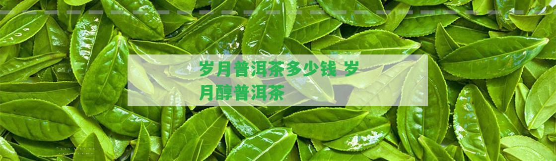 歲月普洱茶多少錢 歲月醇普洱茶