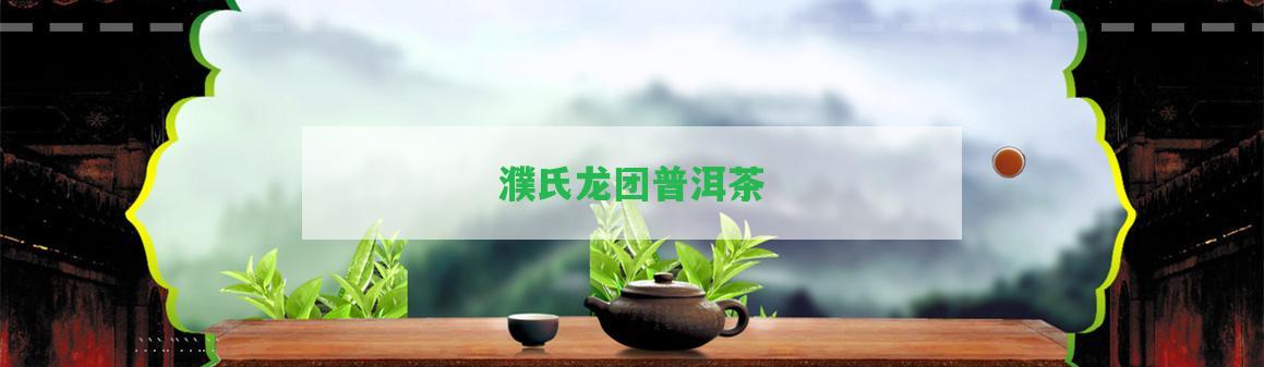 濮氏龍團(tuán)普洱茶