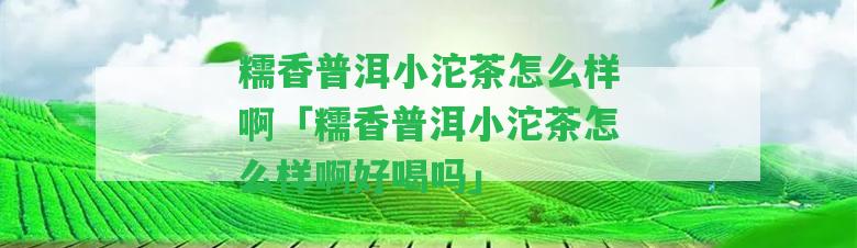 糯香普洱小沱茶怎么樣啊「糯香普洱小沱茶怎么樣啊好喝嗎」