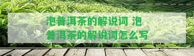 泡普洱茶的解說詞 泡普洱茶的解說詞怎么寫