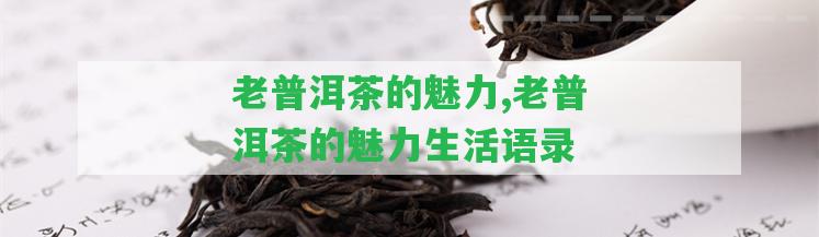 老普洱茶的魅力,老普洱茶的魅力生活語(yǔ)錄