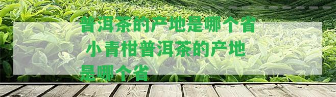 普洱茶的產(chǎn)地是哪個省 小青柑普洱茶的產(chǎn)地是哪個省