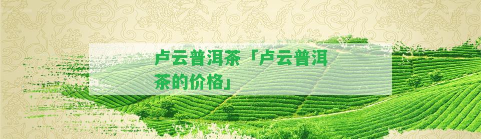 盧云普洱茶「盧云普洱茶的價格」