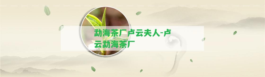 勐海茶廠盧云夫人-盧云勐海茶廠