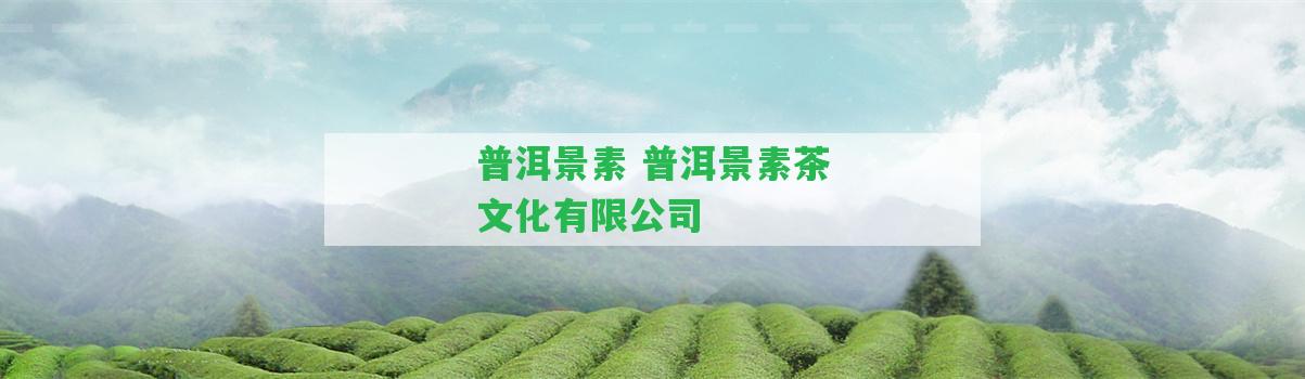 普洱景素 普洱景素茶文化有限公司