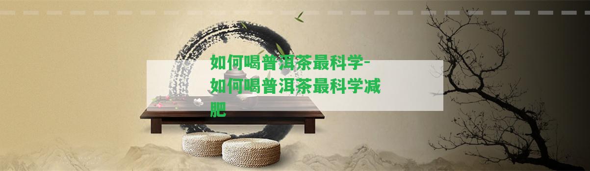 怎樣喝普洱茶最科學(xué)-怎樣喝普洱茶最科學(xué)減肥