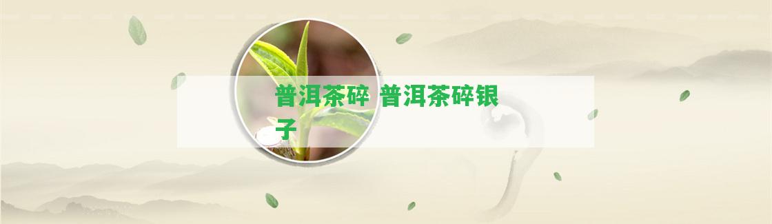 普洱茶碎 普洱茶碎銀子