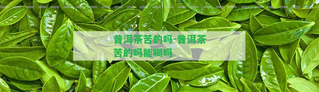 普洱茶苦的嗎-普洱茶苦的嗎能喝嗎