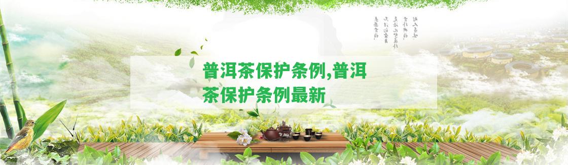 普洱茶保護(hù)條例,普洱茶保護(hù)條例最新