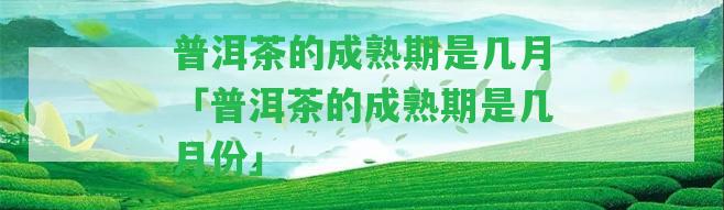 普洱茶的成熟期是幾月「普洱茶的成熟期是幾月份」