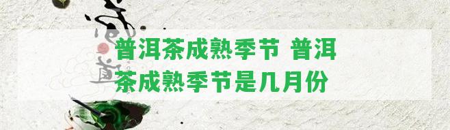 普洱茶成熟季節(jié) 普洱茶成熟季節(jié)是幾月份