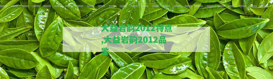 大益巖韻2012特點,大益巖韻2012品鑒