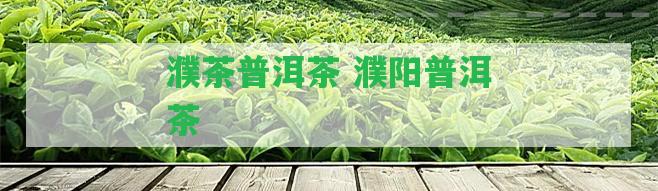 濮茶普洱茶 濮陽普洱茶