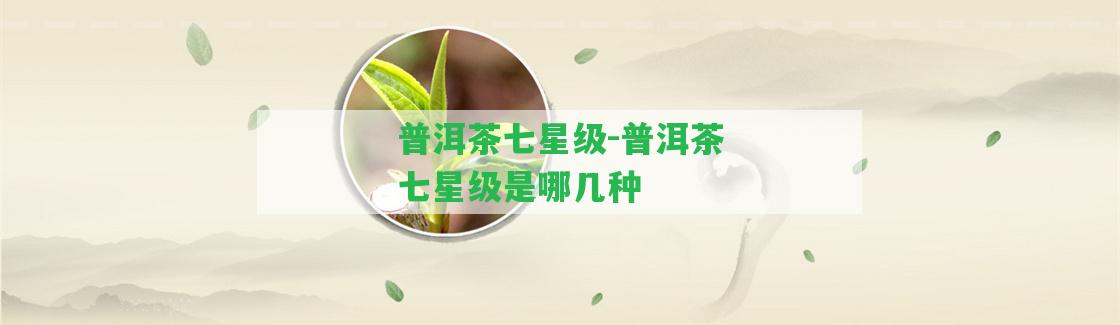 普洱茶七星級-普洱茶七星級是哪幾種