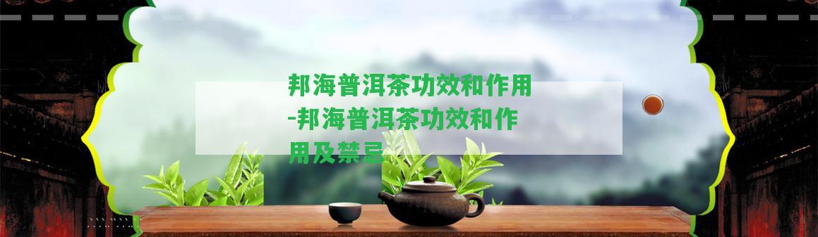 邦海普洱茶功效和作用-邦海普洱茶功效和作用及禁忌