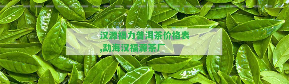 漢源福力普洱茶價格表,勐海漢福源茶廠