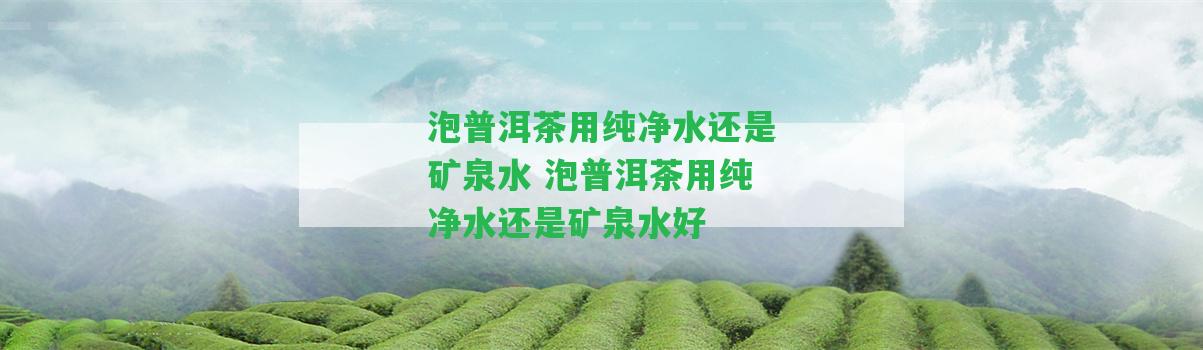 泡普洱茶用純凈水還是礦泉水 泡普洱茶用純凈水還是礦泉水好