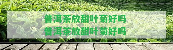 普洱茶放甜葉菊好嗎 普洱茶放甜葉菊好嗎