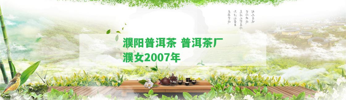 濮陽普洱茶 普洱茶廠濮女2007年