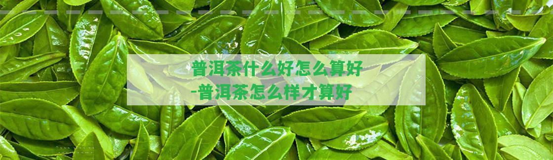 普洱茶什么好怎么算好-普洱茶怎么樣才算好