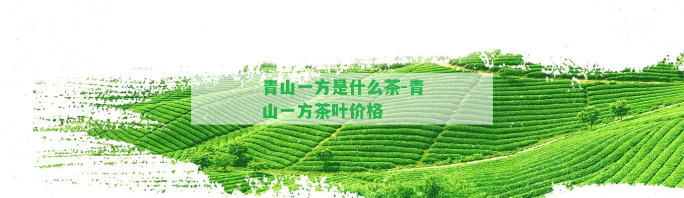 青山一方是什么茶-青山一方茶葉價(jià)格