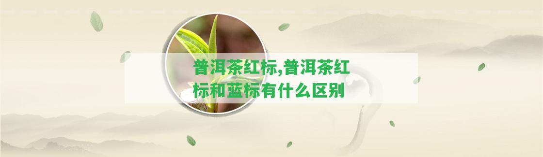 普洱茶紅標(biāo),普洱茶紅標(biāo)和藍(lán)標(biāo)有什么區(qū)別