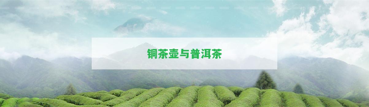 銅茶壺與普洱茶