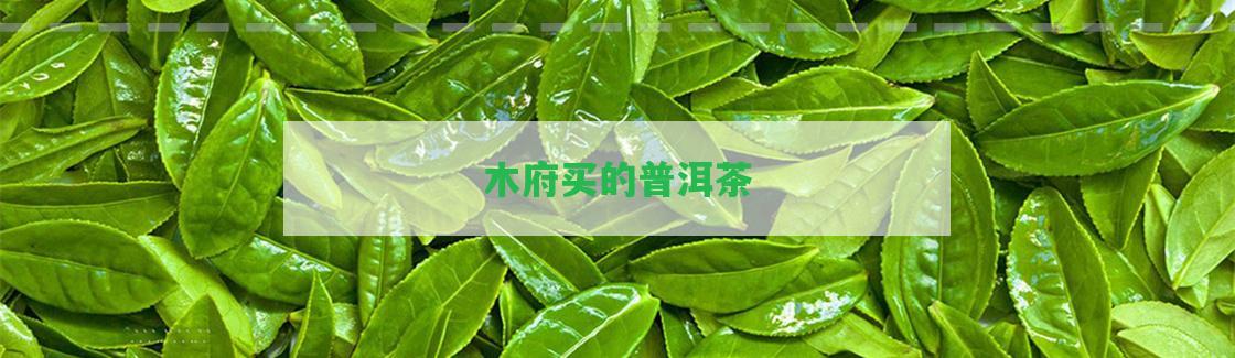 木府買(mǎi)的普洱茶