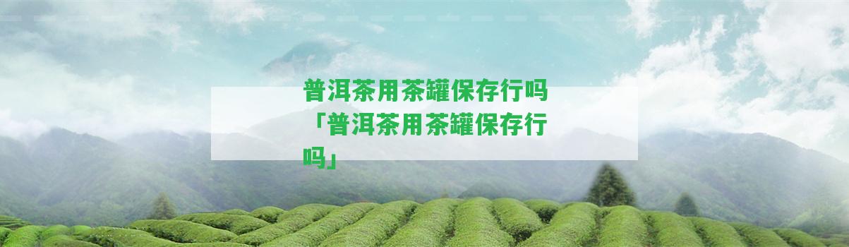 普洱茶用茶罐保存行嗎「普洱茶用茶罐保存行嗎」