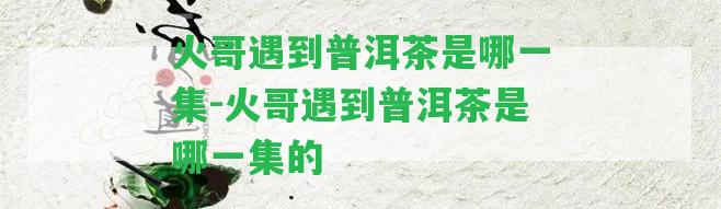 火哥遇到普洱茶是哪一集-火哥遇到普洱茶是哪一集的