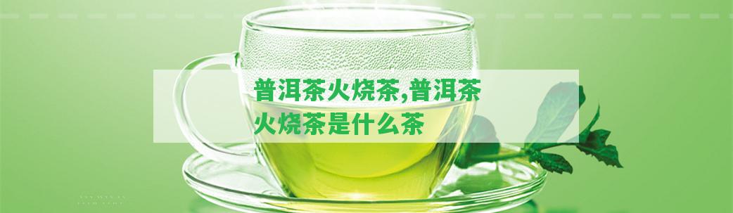 普洱茶火燒茶,普洱茶火燒茶是什么茶