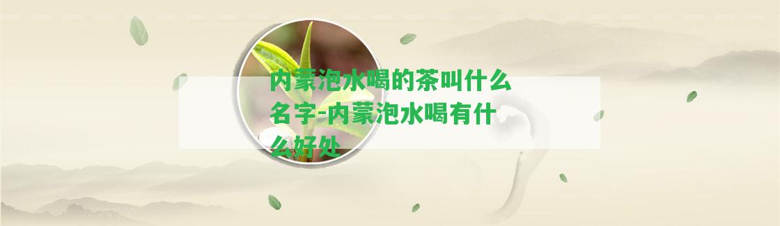 內(nèi)蒙泡水喝的茶叫什么名字-內(nèi)蒙泡水喝有什么好處