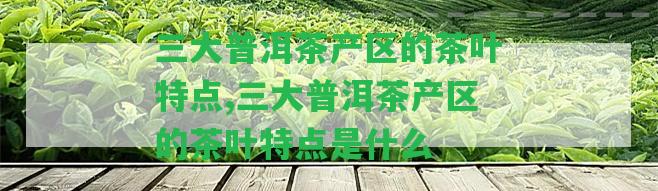 三大普洱茶產(chǎn)區(qū)的茶葉特點(diǎn),三大普洱茶產(chǎn)區(qū)的茶葉特點(diǎn)是什么