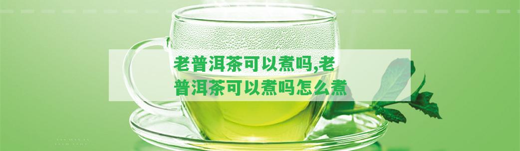 老普洱茶可以煮嗎,老普洱茶可以煮嗎怎么煮