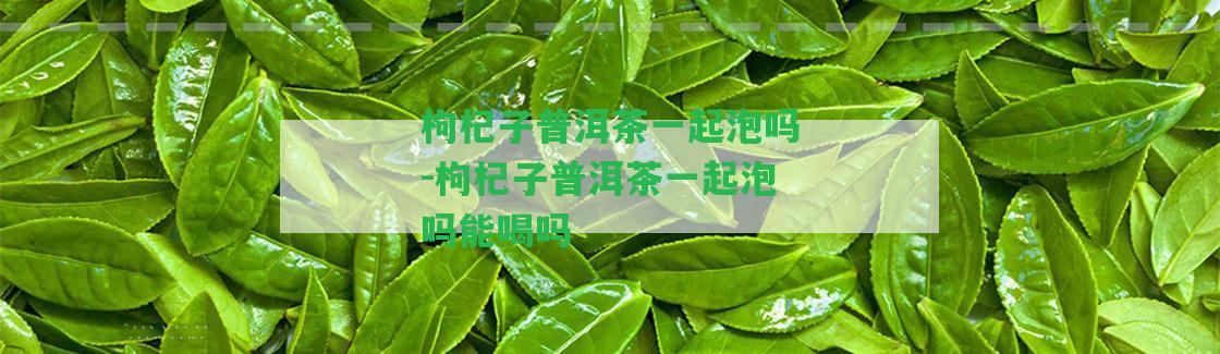 枸杞子普洱茶一起泡嗎-枸杞子普洱茶一起泡嗎能喝嗎