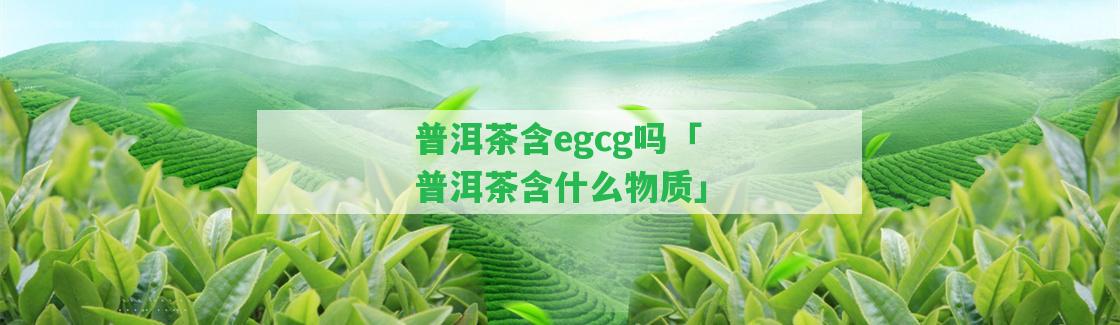 普洱茶含egcg嗎「普洱茶含什么物質(zhì)」