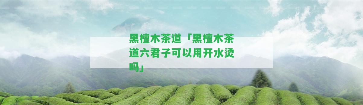 黑檀木茶道「黑檀木茶道六君子可以用開水燙嗎」