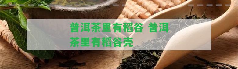 普洱茶里有稻谷 普洱茶里有稻谷殼