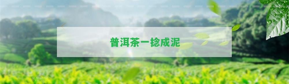 普洱茶一捻成泥