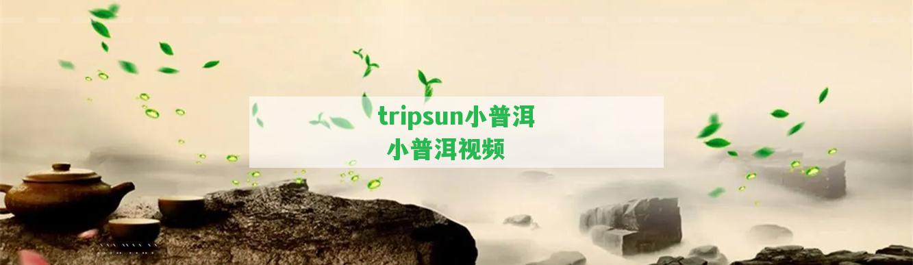 tripsun小普洱 小普洱視頻