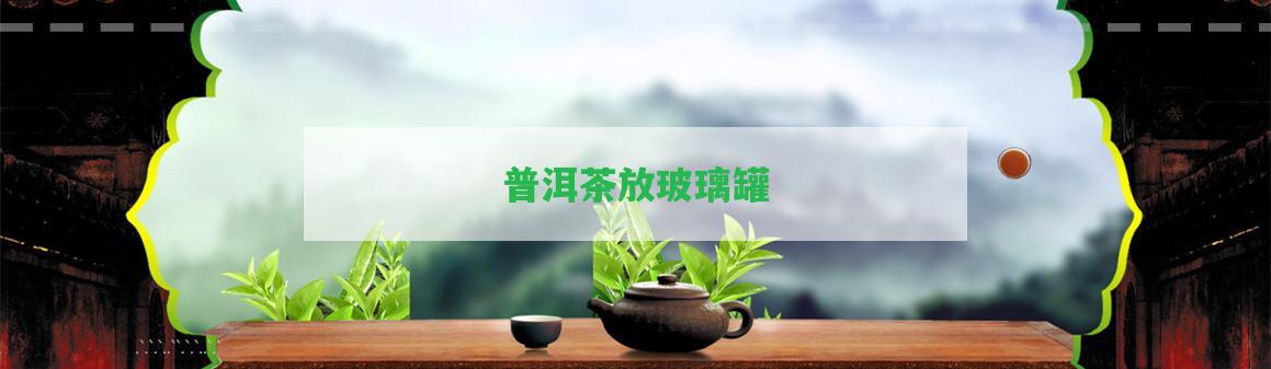 普洱茶放玻璃罐