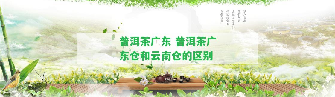 普洱茶廣東 普洱茶廣東倉和云南倉的區(qū)別